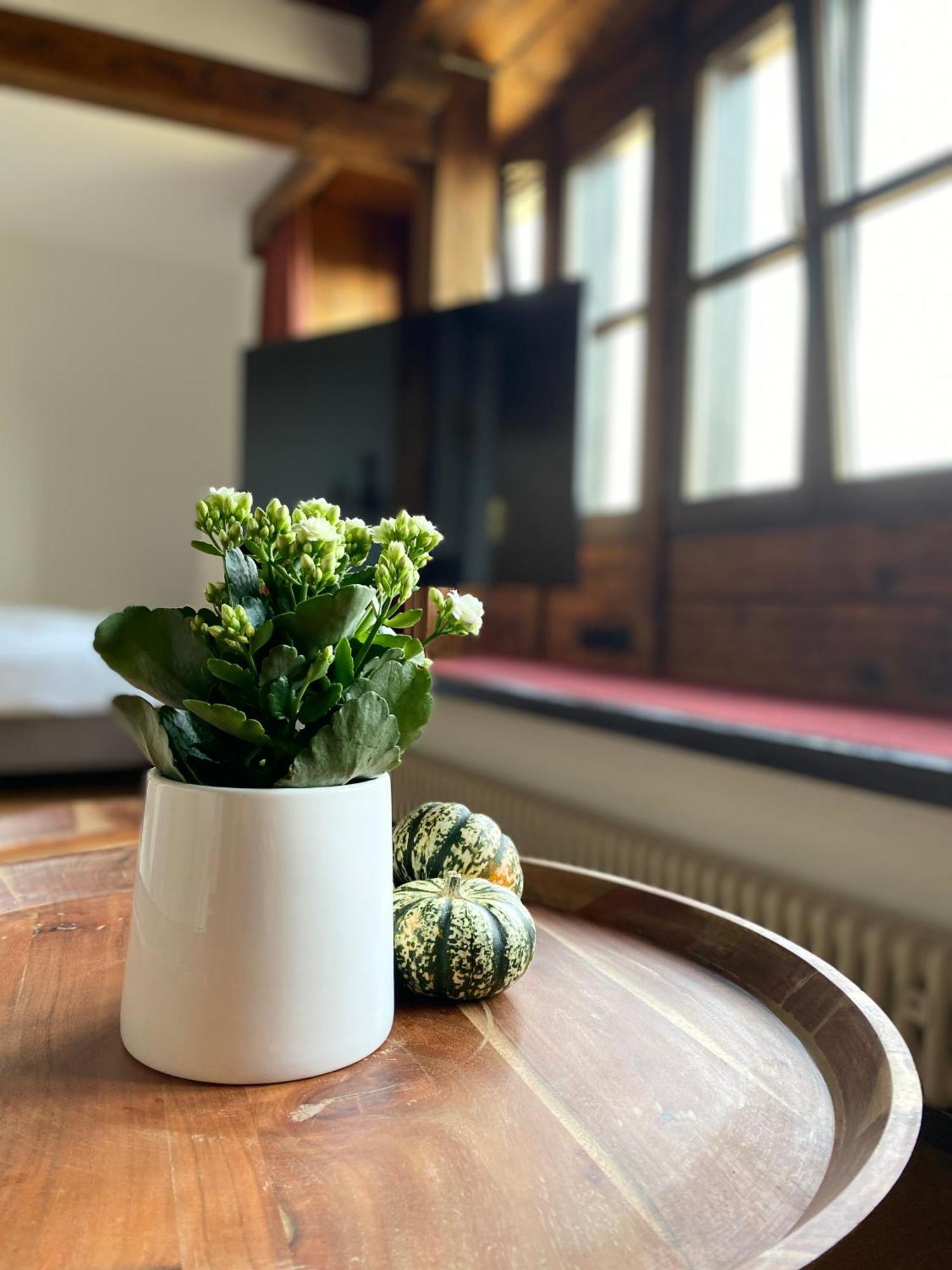 Apartmenthaus Eurenerstrasse 179 特里尔 外观 照片