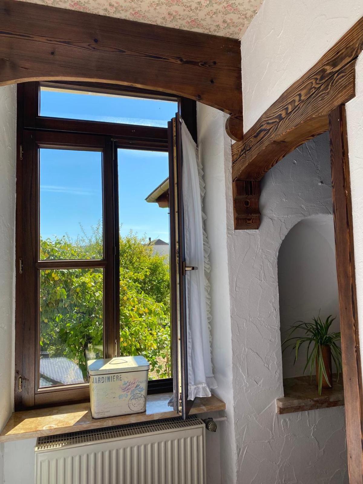Apartmenthaus Eurenerstrasse 179 特里尔 外观 照片